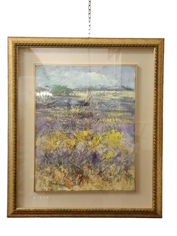 Adelio Bonacina - Campi di lavanda