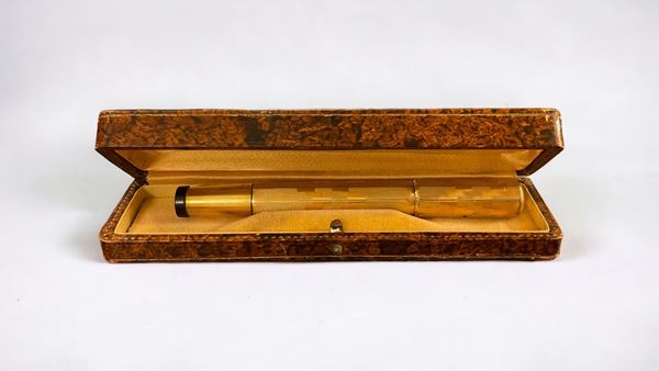 Penna stilografica Waterman Fountain