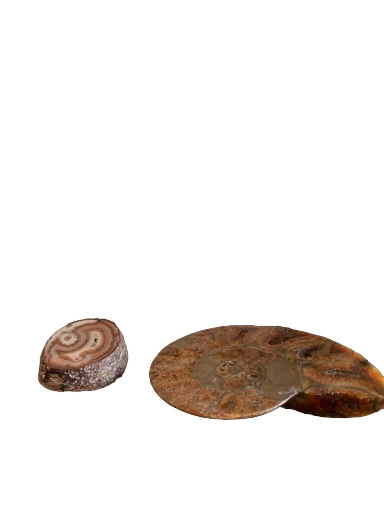 Lumachella Fossile e Pietra Dura