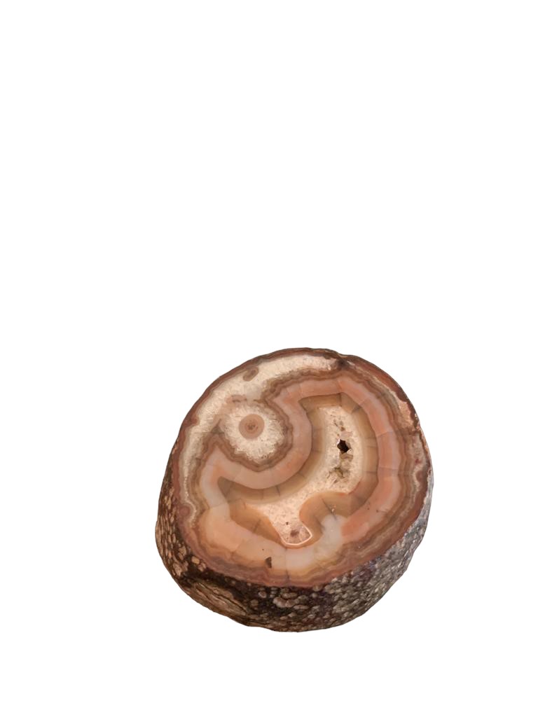 Lumachella Fossile e Pietra Dura
