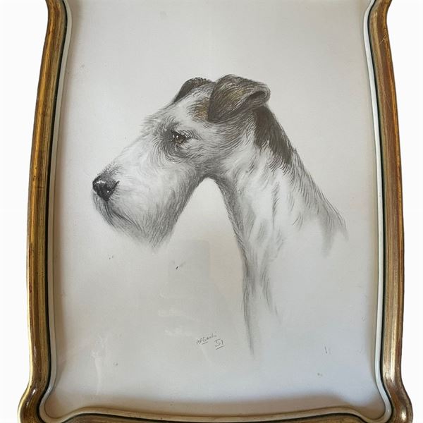 Ritratto di fox terrier