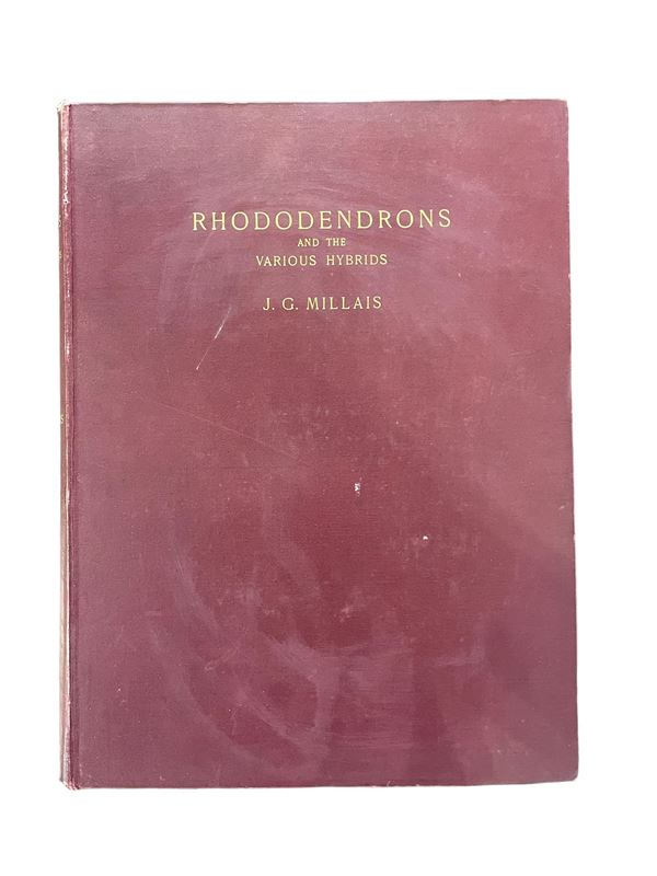 J. G. Millais - Rhododendrons (I serie)