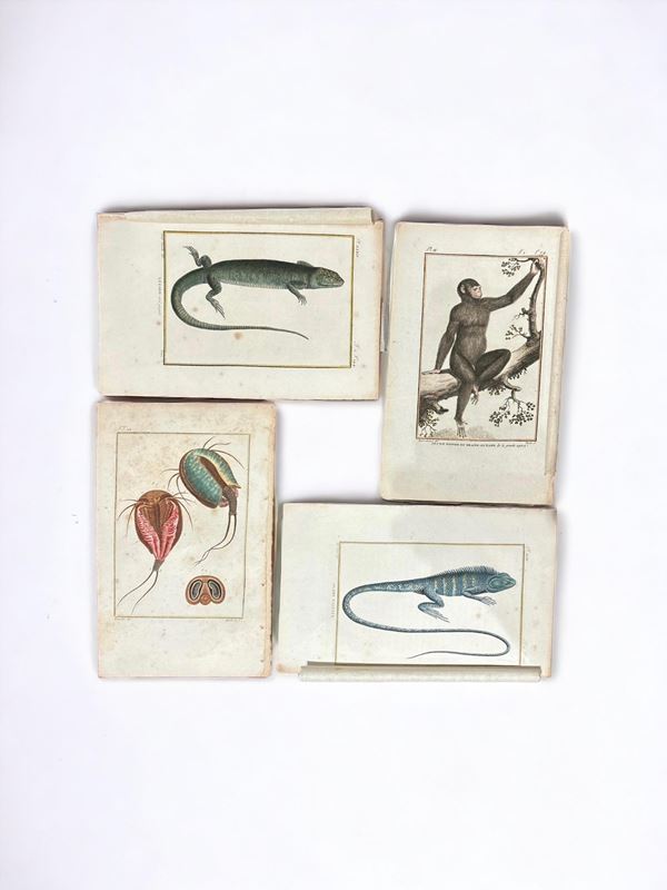 Series of 8 prints
