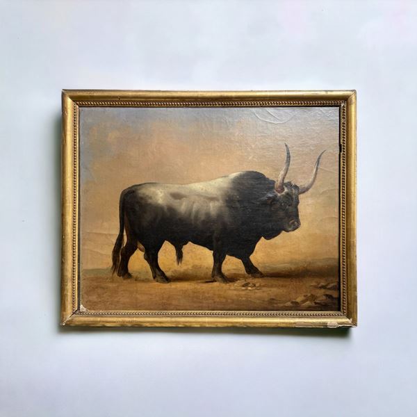 Bufalo