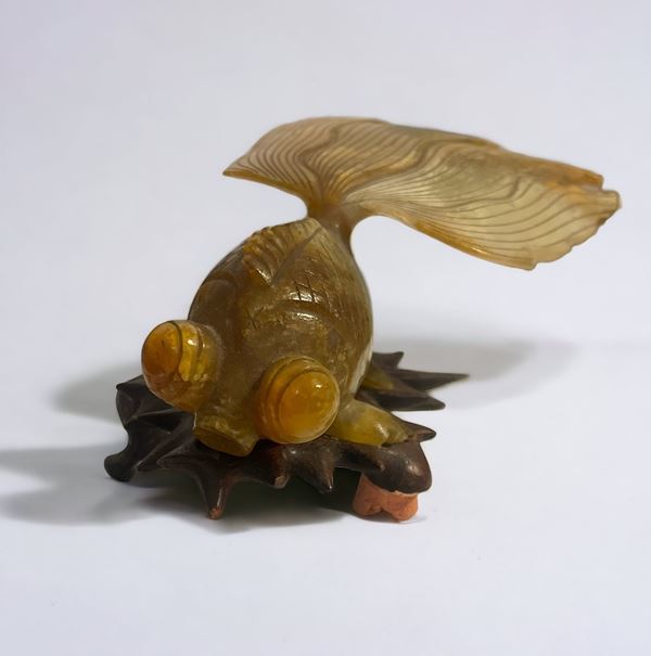 Carpa Koi