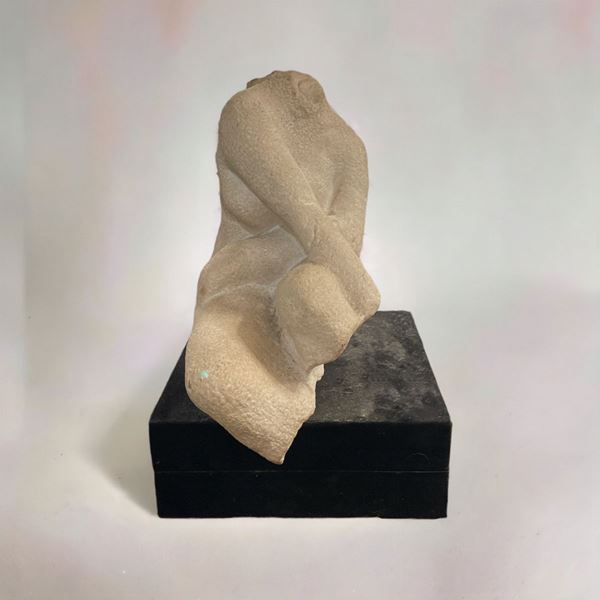Torso acefalo