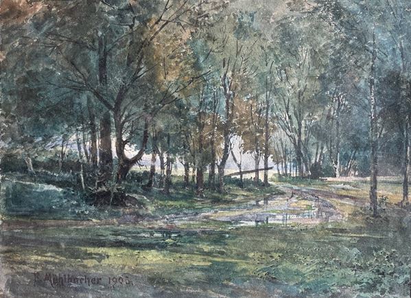 Fedinand M&#220;HLBACHER - Veduta boschiva
