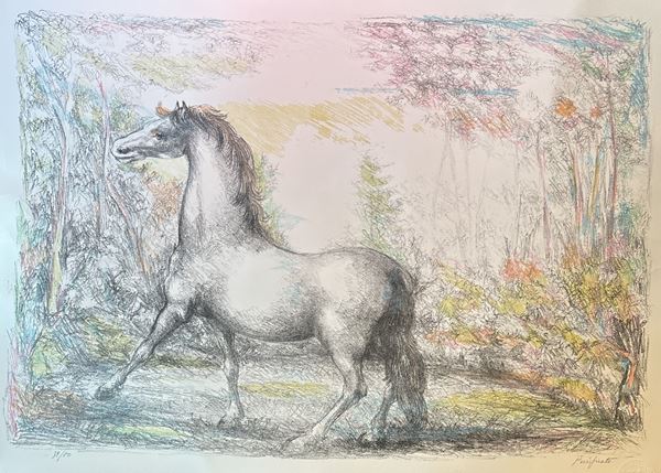 Domenico  Purificato - Il cavallo