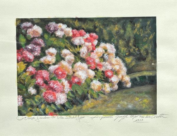 Giuseppe Ciotti Agibecifuturista - Ortensie