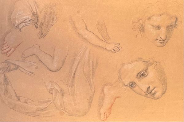 Giuseppe Bottani - Studio anatomico