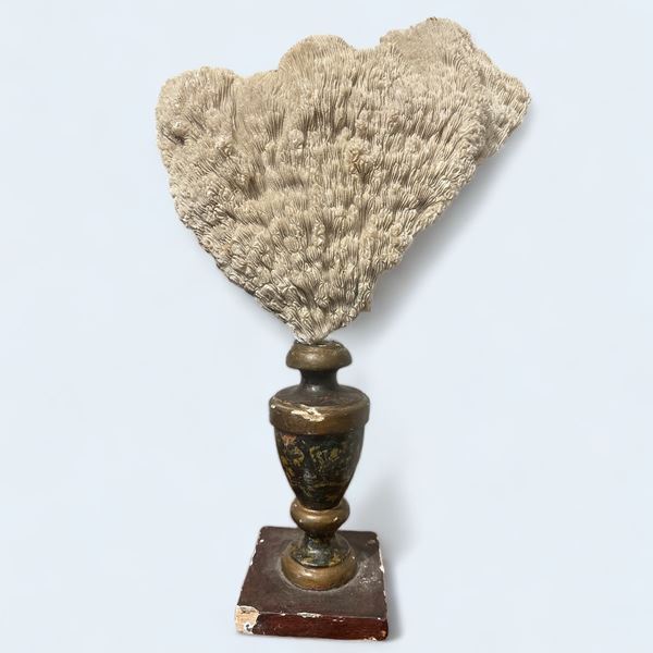 Corallo bianco  (XVIII secolo)  - Asta Art Décor - Collezioni Private Romane - DAMS Casa d'Aste