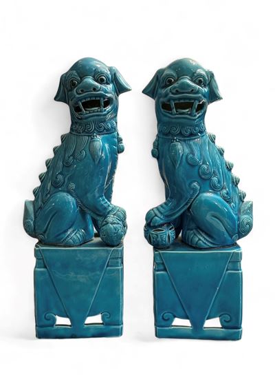 Coppia di Cani di Pho