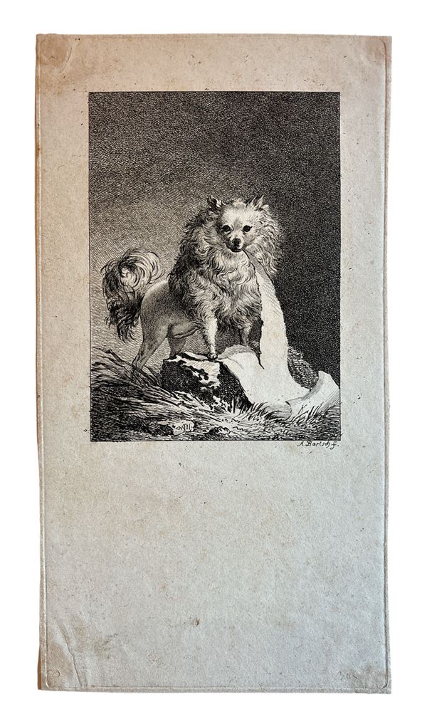 Johann Adam Bernhard von Bartsch - Cane da caccia con cacciagione