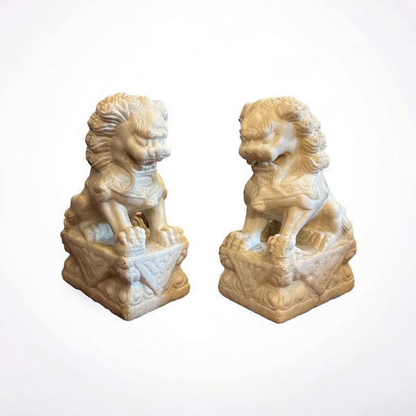 Coppia di cani di Pho