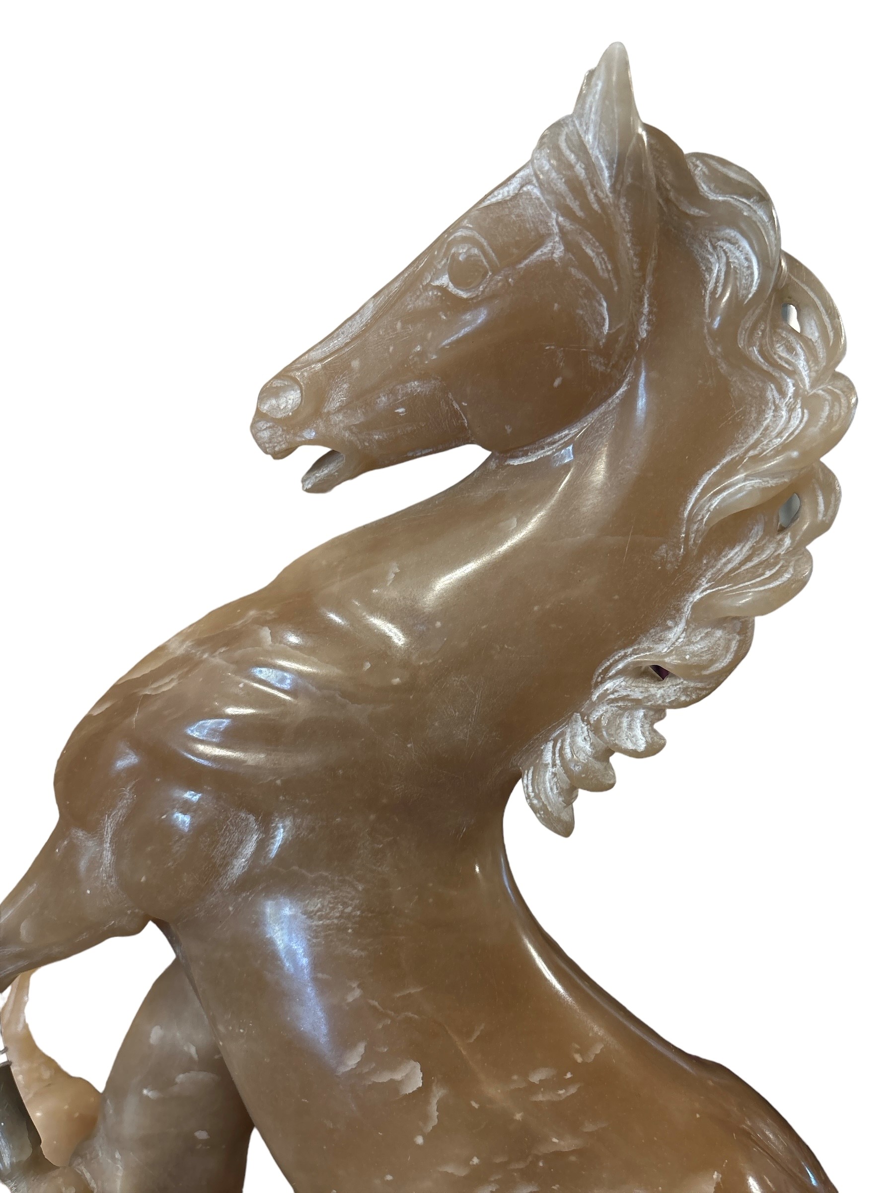 Cavallo Rampante