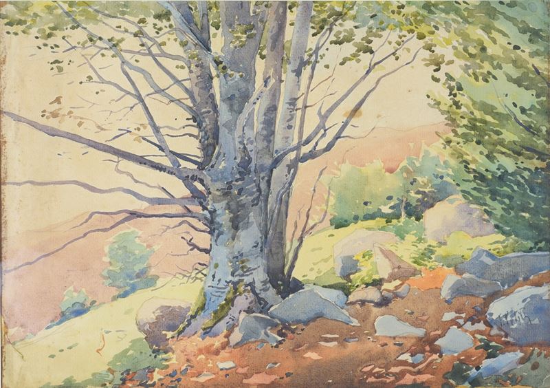Filiberto Petiti - Paesaggio Boschivo