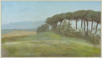 Paesaggio con pini marittimi