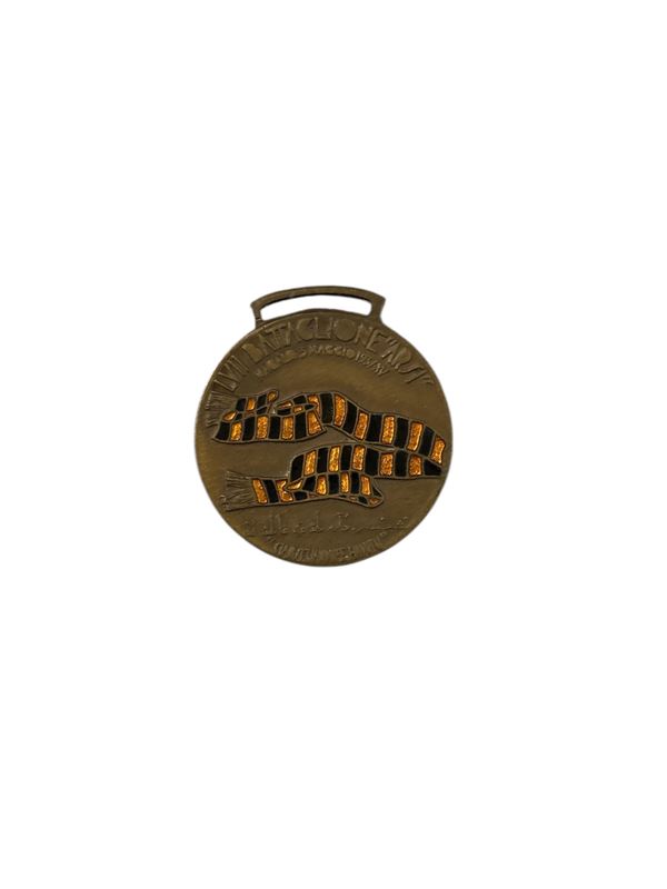 Medaglia LVII Battaglione "Arsi"