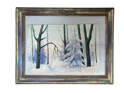 Paesaggio innevato