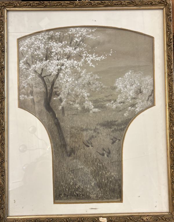 Pollonera Carlo - Mandorli in fiore