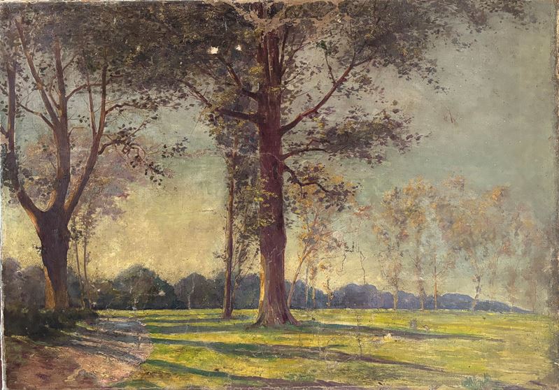 Paesaggio Boschivo