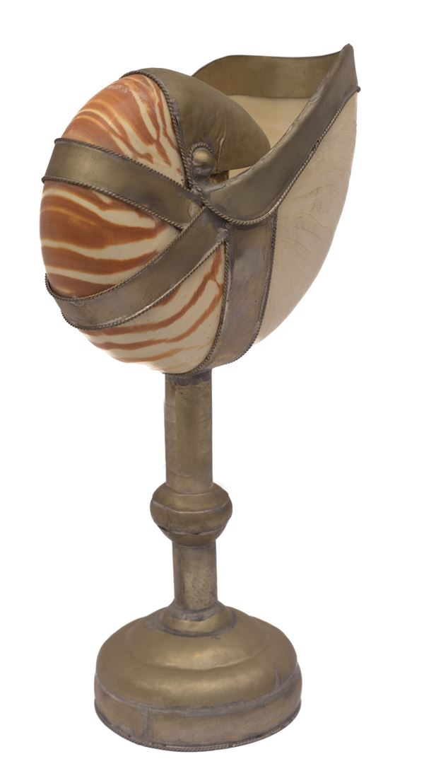 Nautilus 
