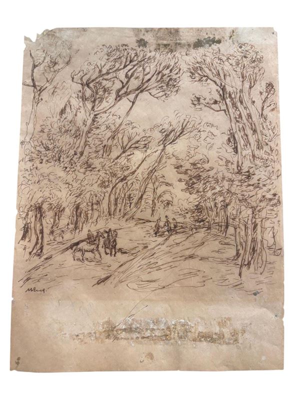 Paesaggio boschivo