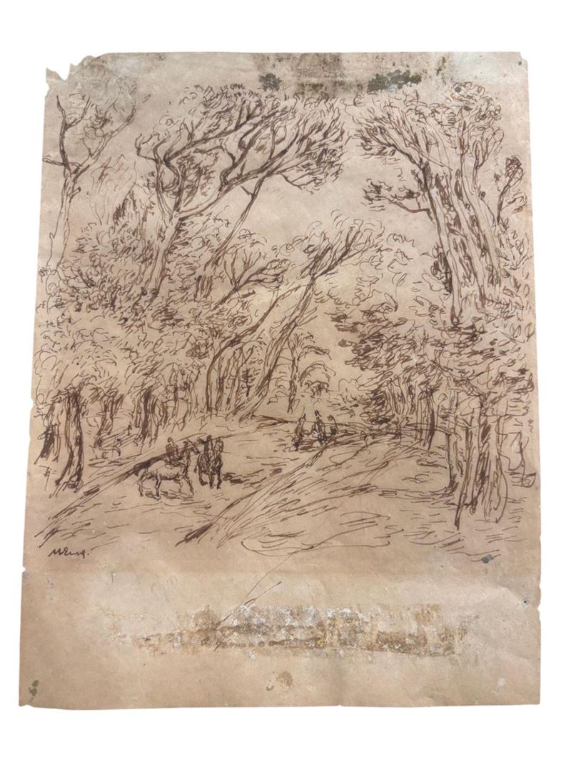 Paesaggio Boschivo