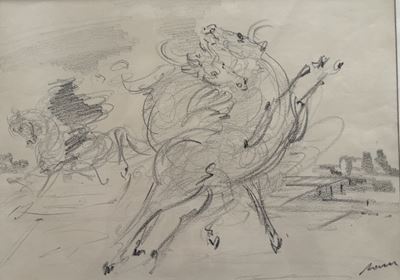 Cavalli balzani, disegno a matita su carta