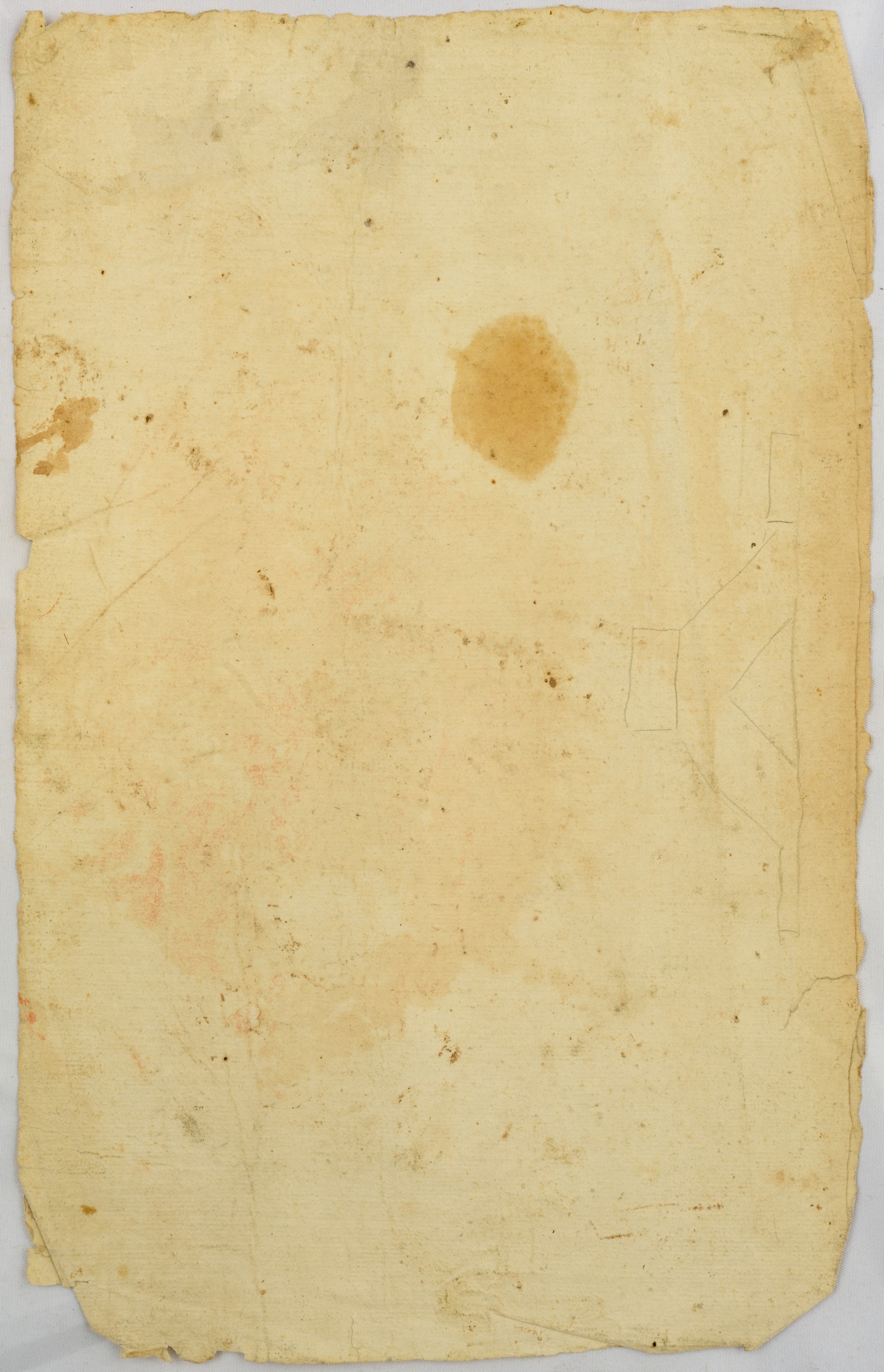 Studio di volto femminile