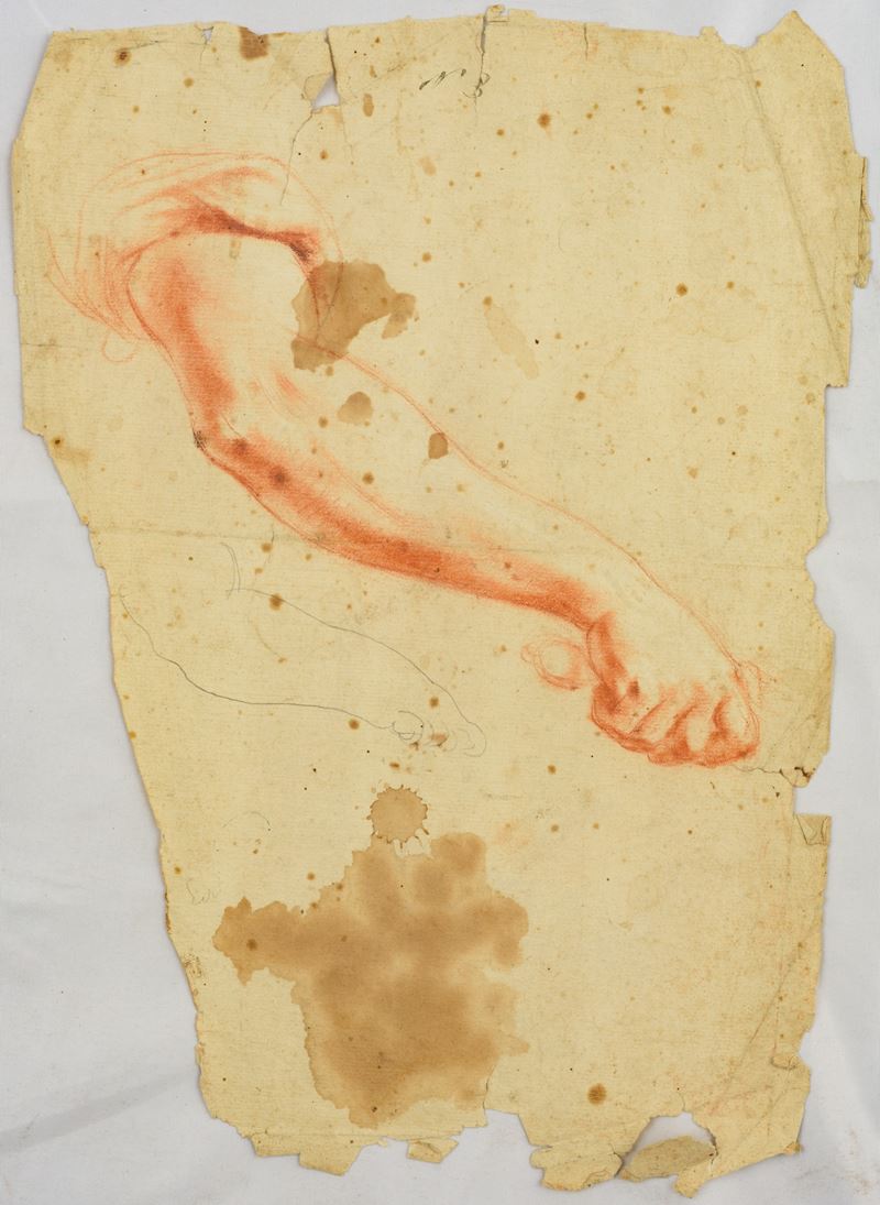 Studio di braccio (recto); Studio di volto, braccio e gamba (verso)