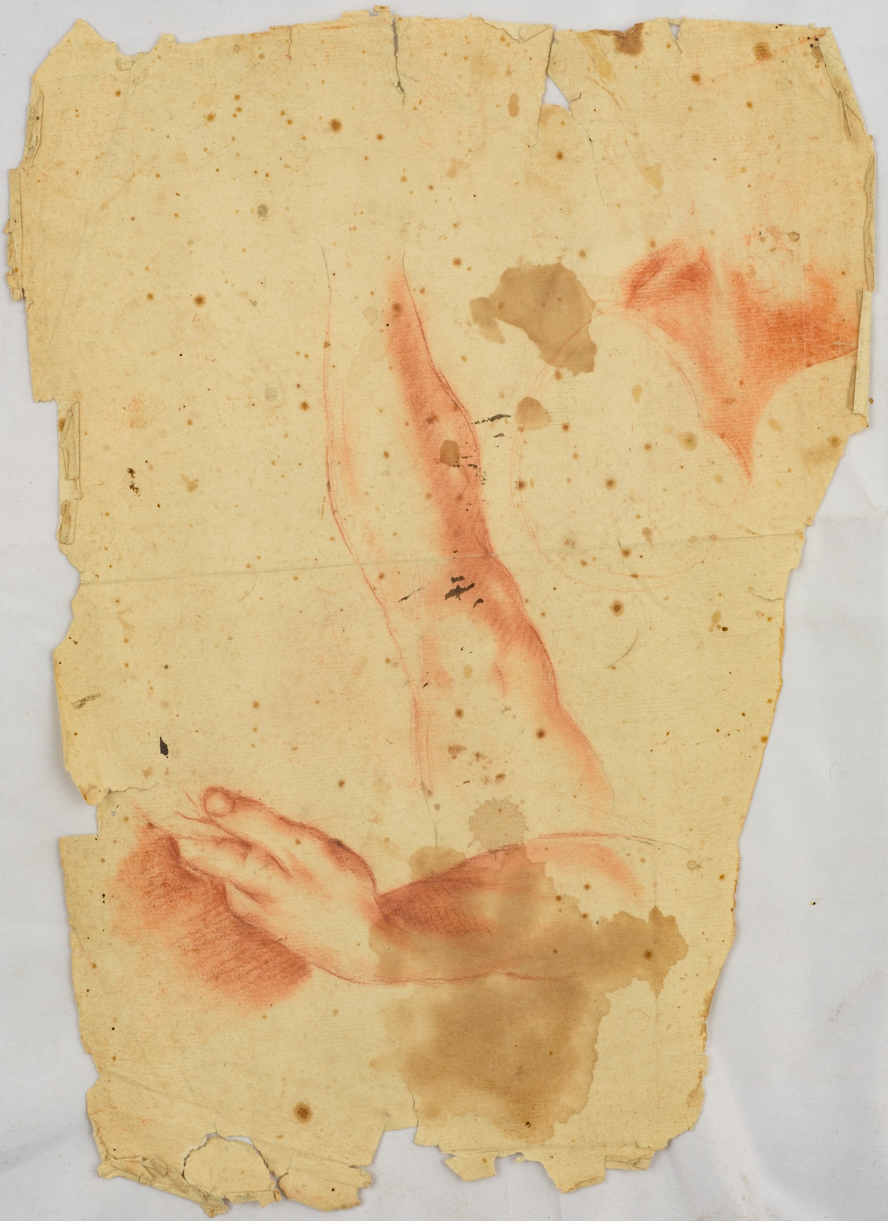 Studio di braccio (recto); Studio di volto, braccio e gamba (verso)