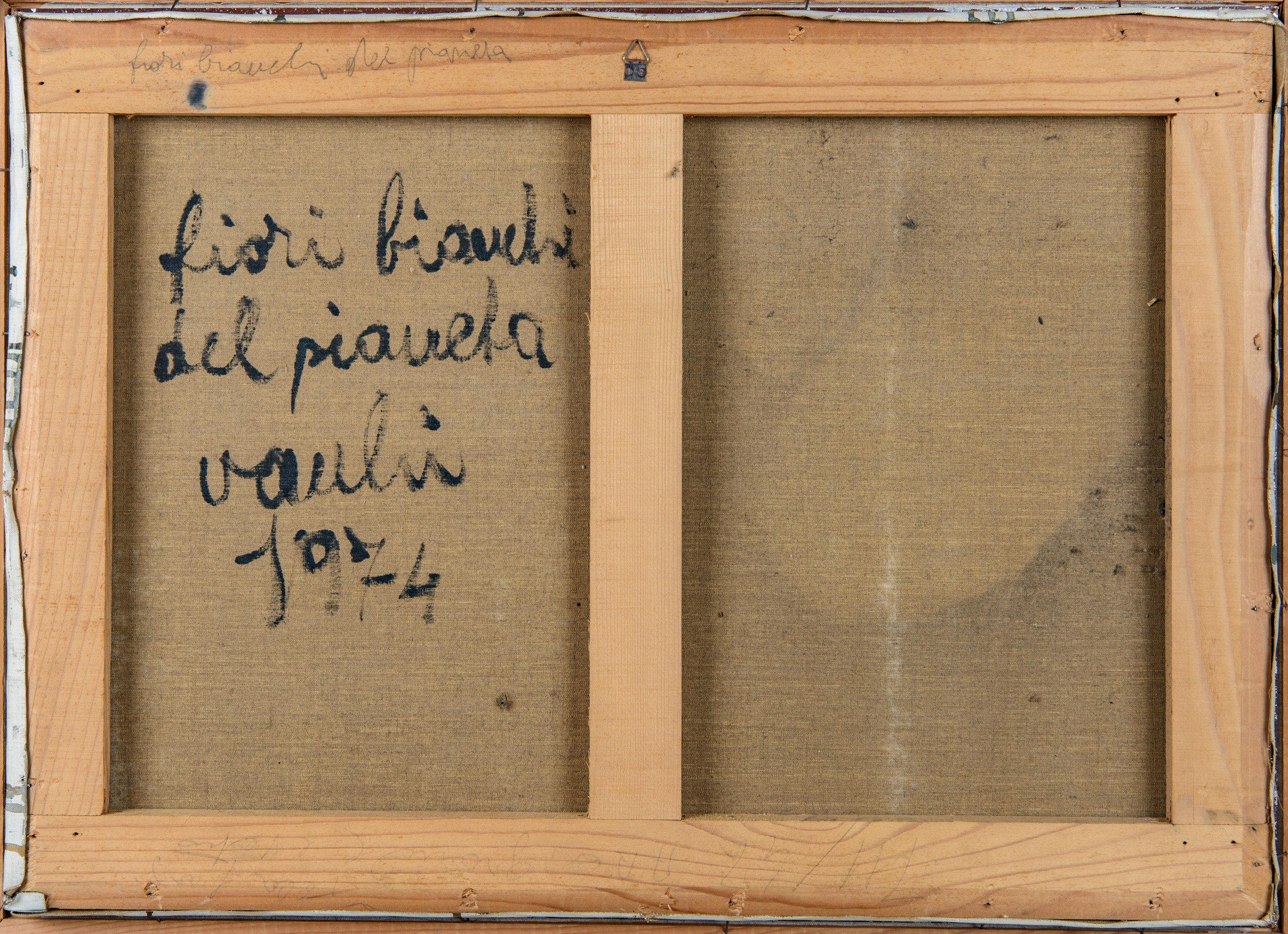 Fiori bianchi del pianeta