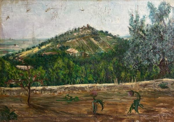 Veduta collinare con borgo