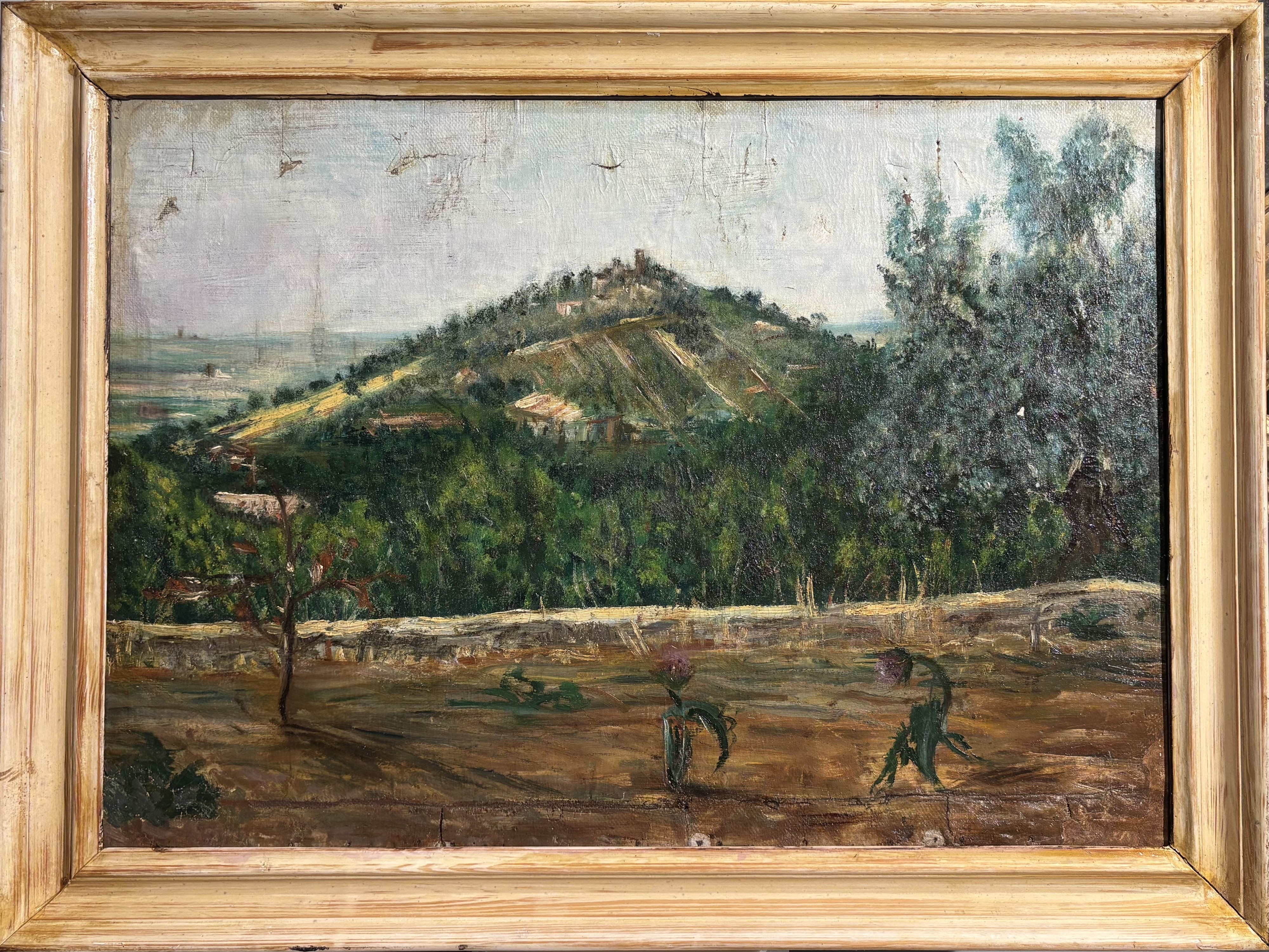 Veduta collinare con borgo