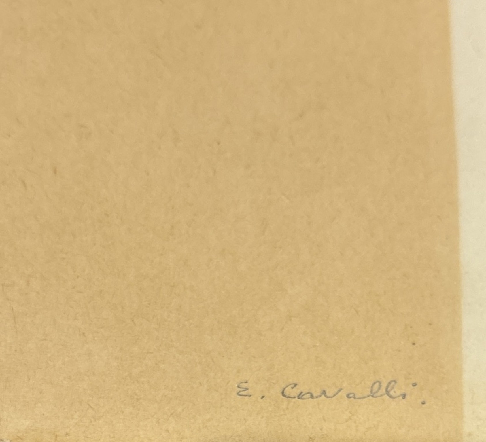 Emanuele Cavalli - Studio Femminile
