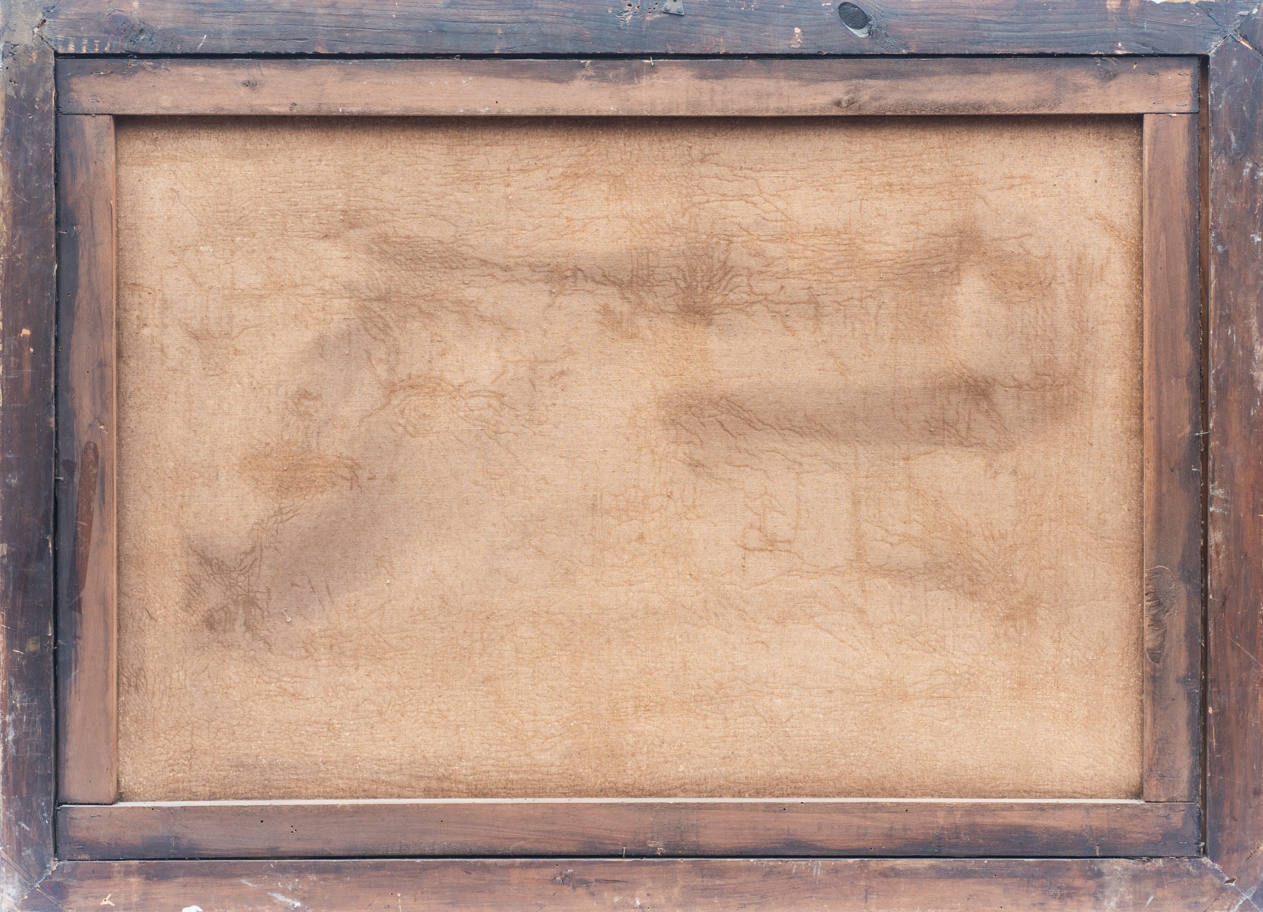 Coppia di nature morte