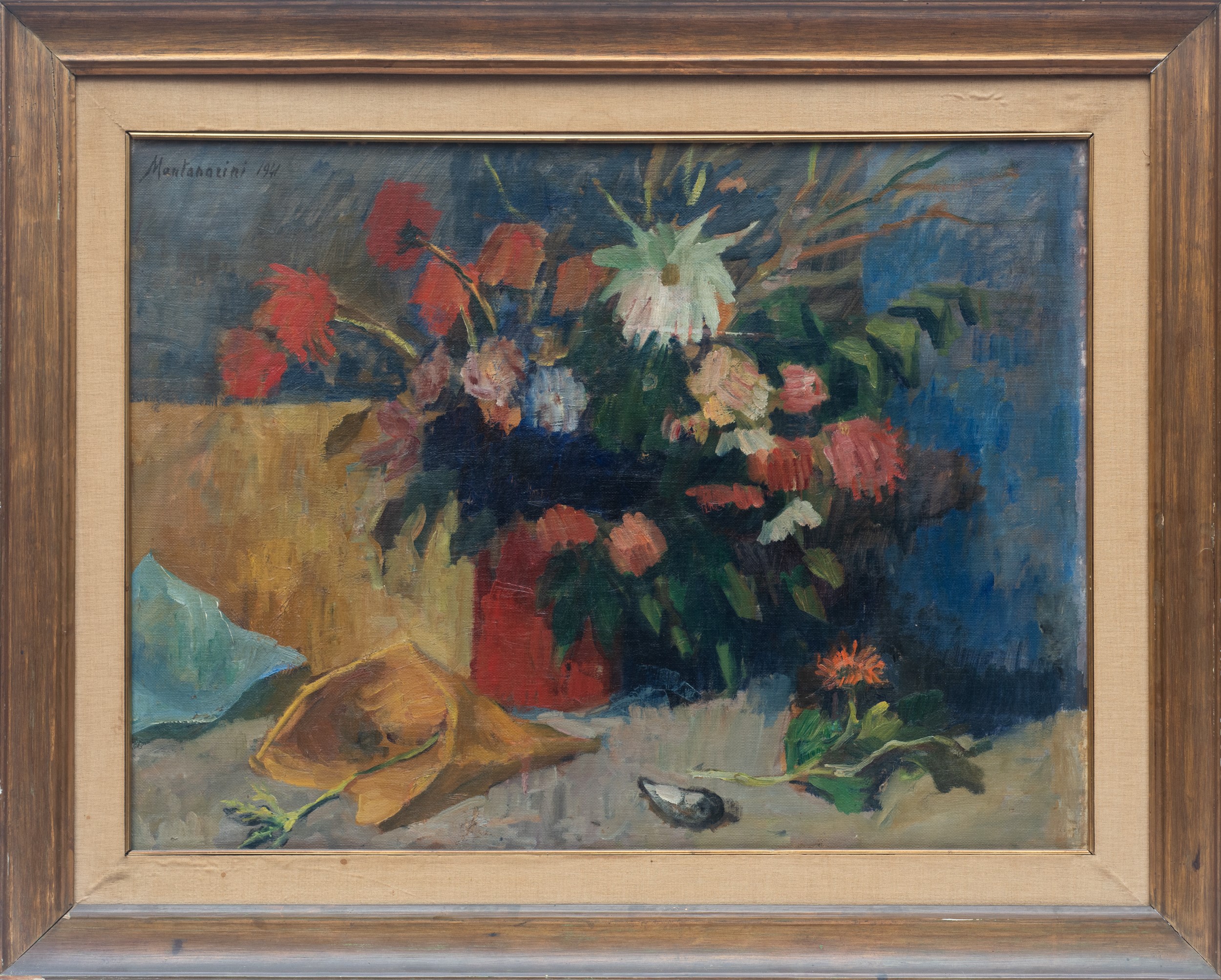 Natura morta con conchiglie