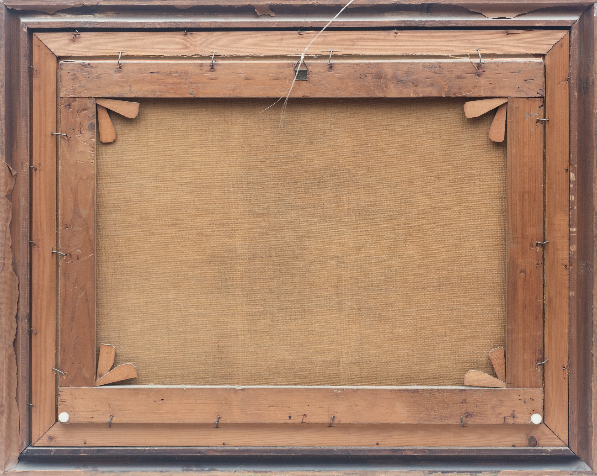 Natura morta con conchiglie