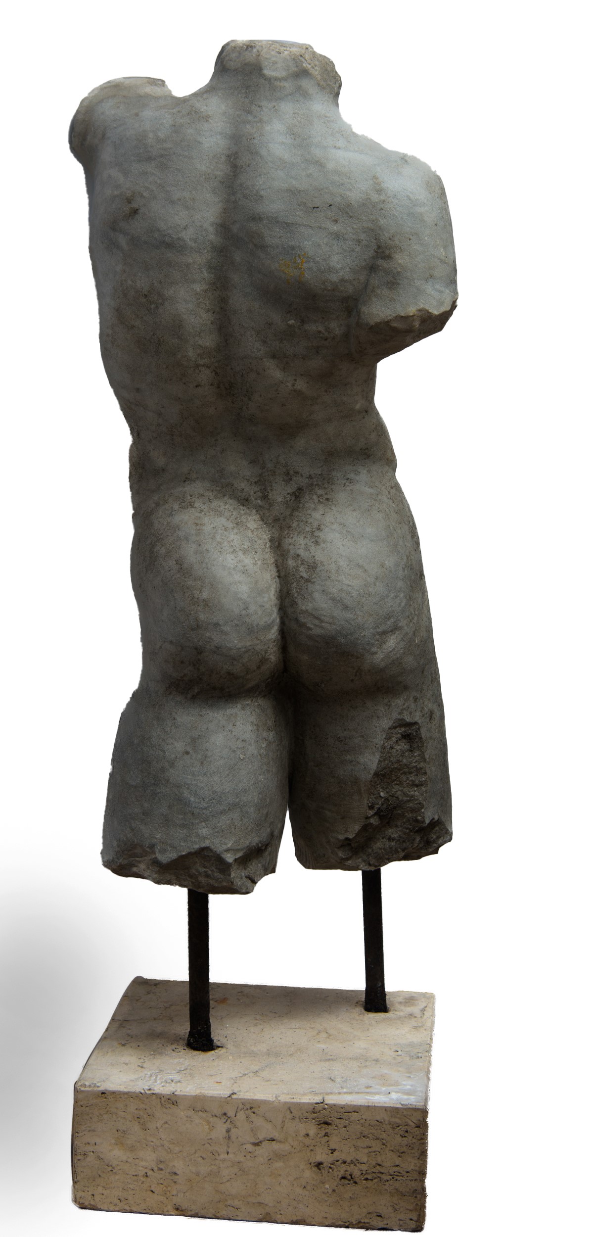 Torso virile