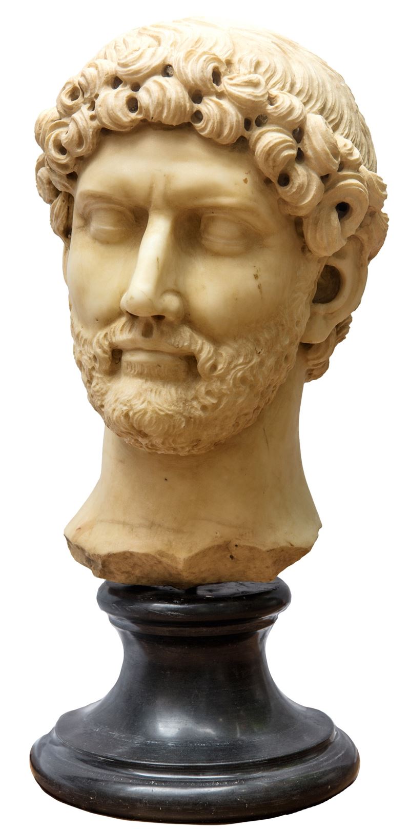 Testa dell'imperatore Adriano