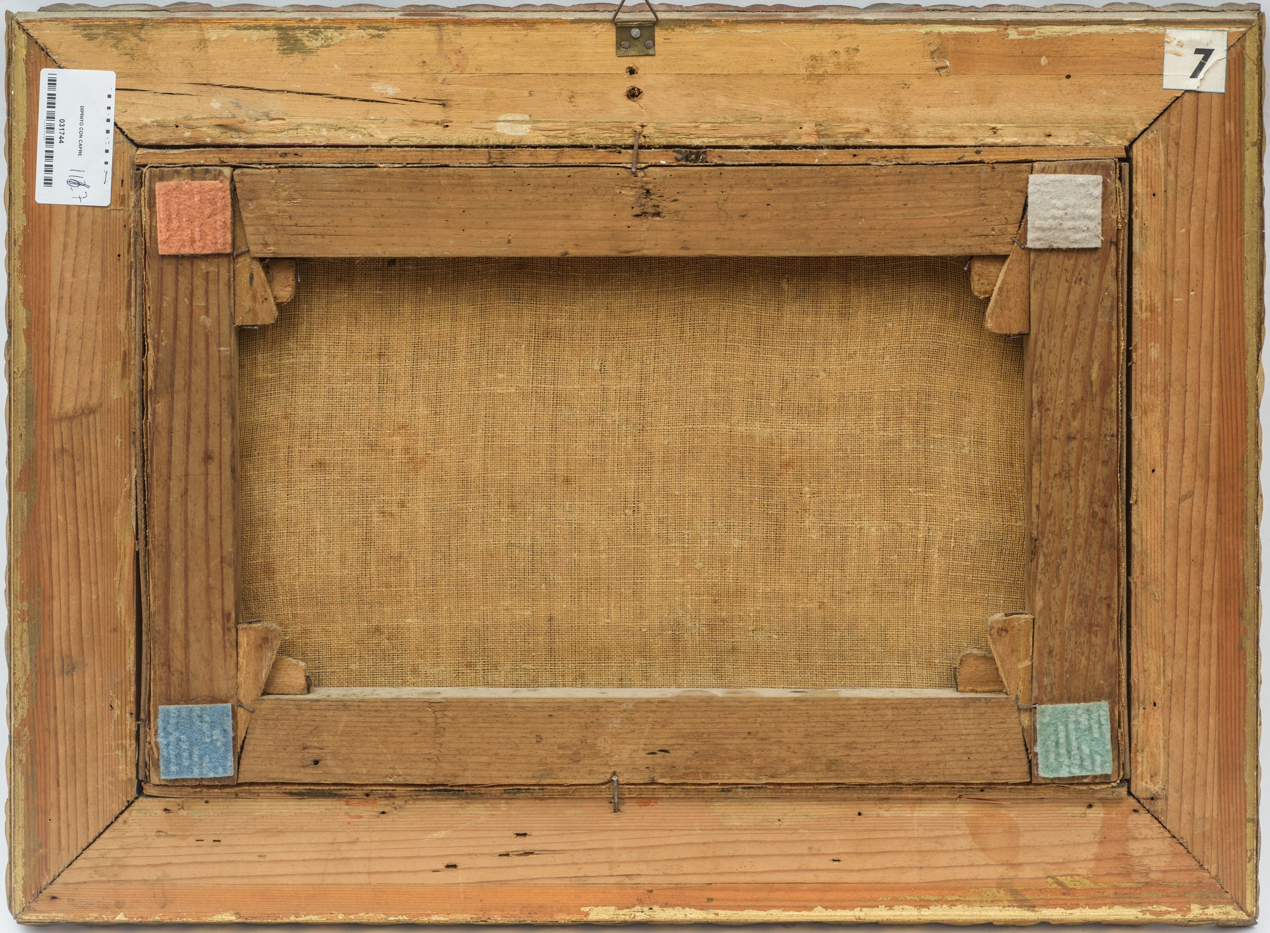 Il carro del fieno preso d'assalto dalle capre