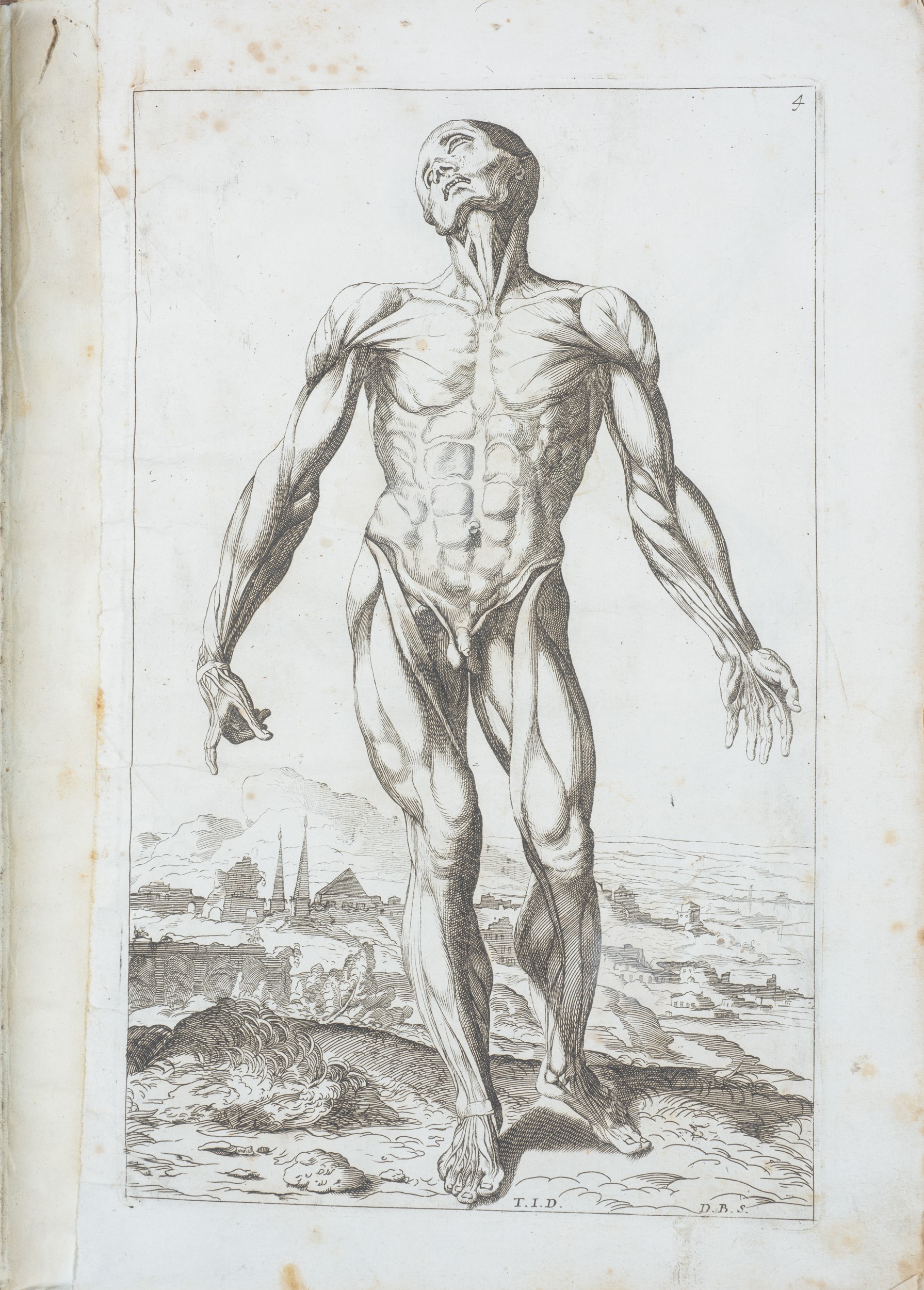 Notomie di Titiano dedicate all'Ill.mo sig. Francesco Ghislieri
