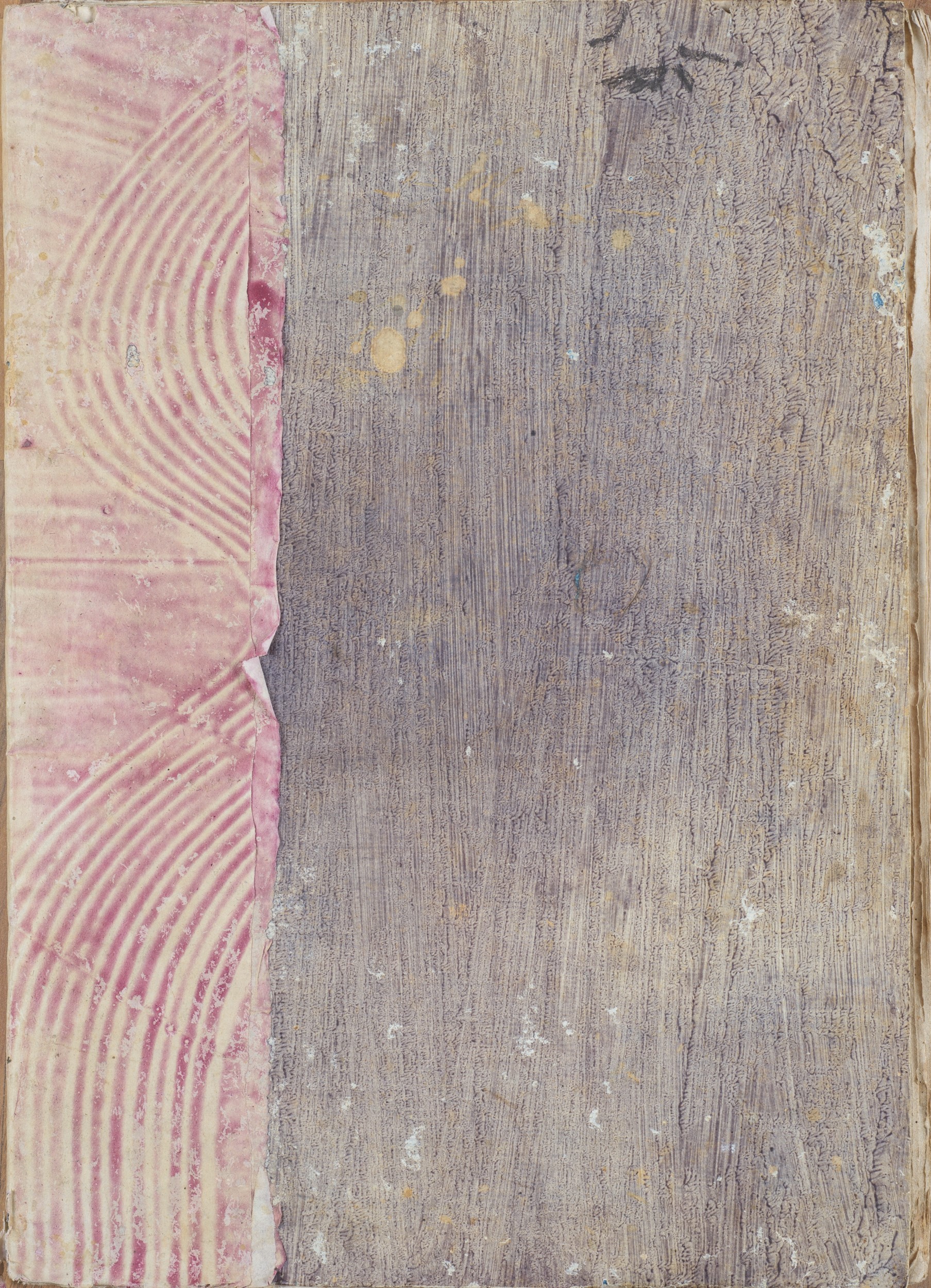 Notomie di Titiano dedicate all'Ill.mo sig. Francesco Ghislieri