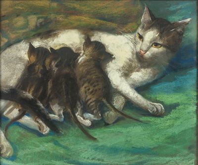Mamma Gatta con Gattini