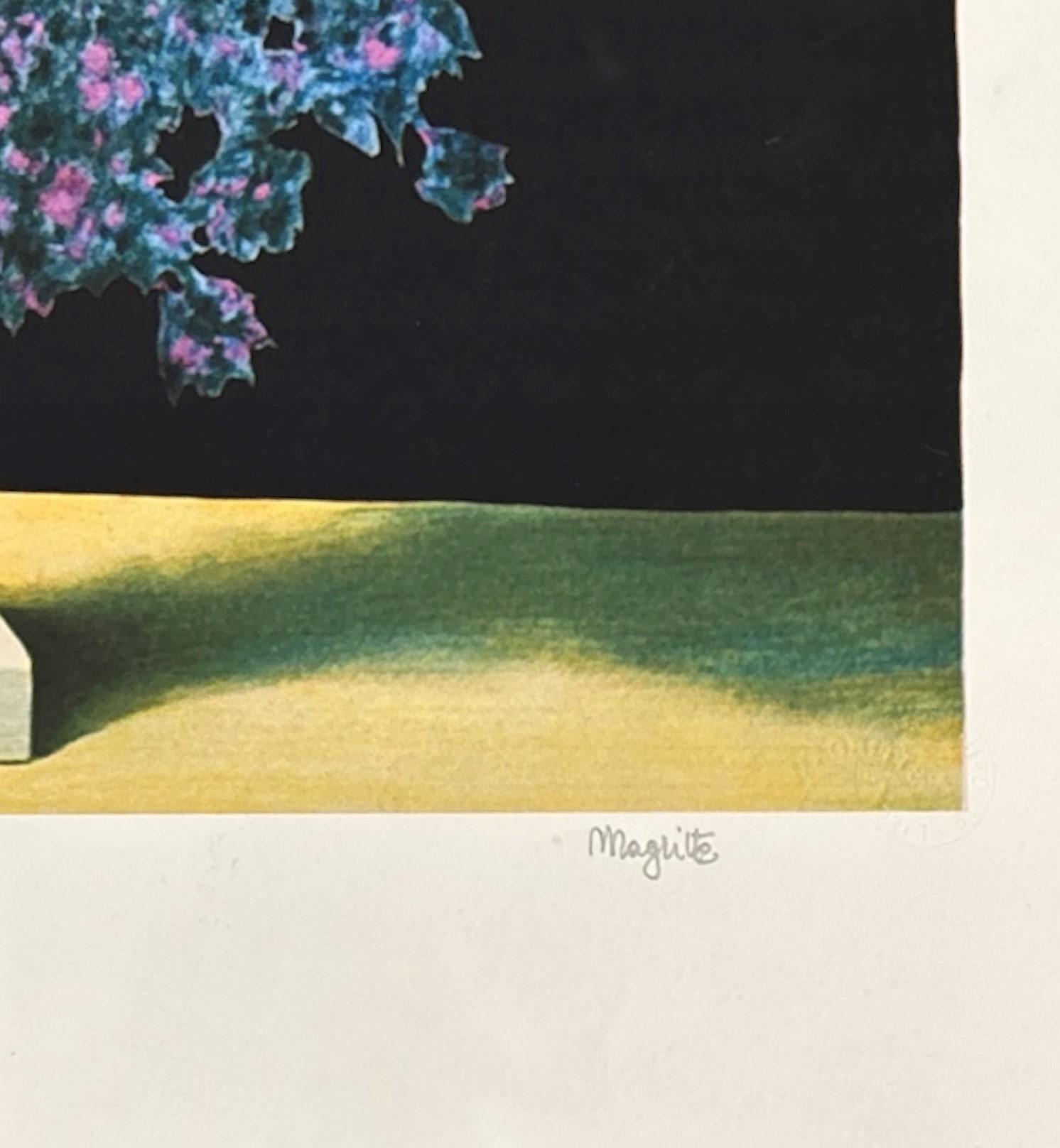 Le pays des miracles