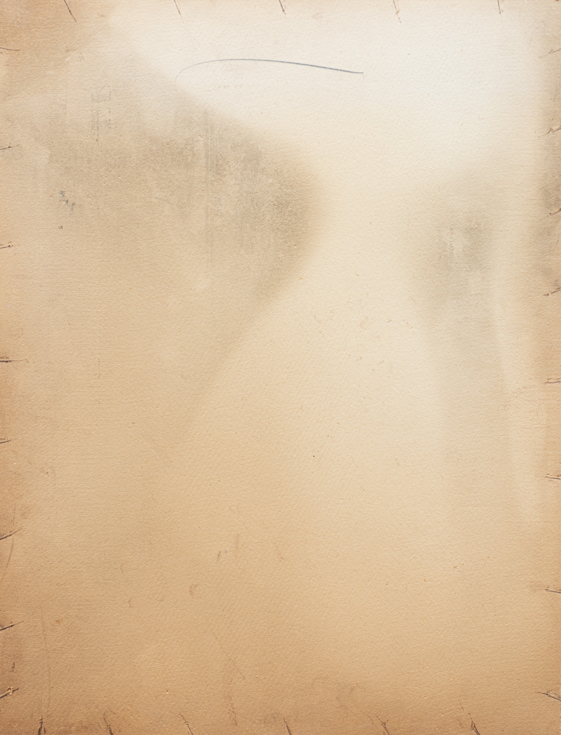 Ritratto di Albert Einstein