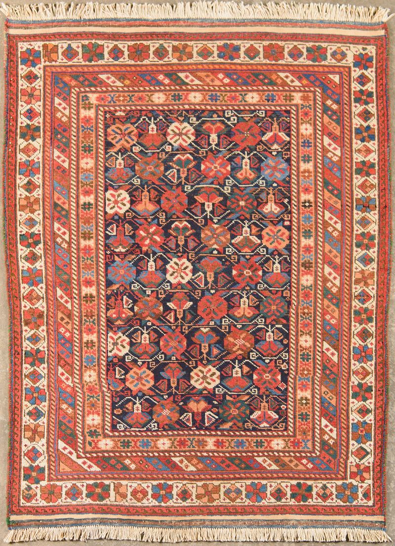 Tappeto Shirwan Surahani