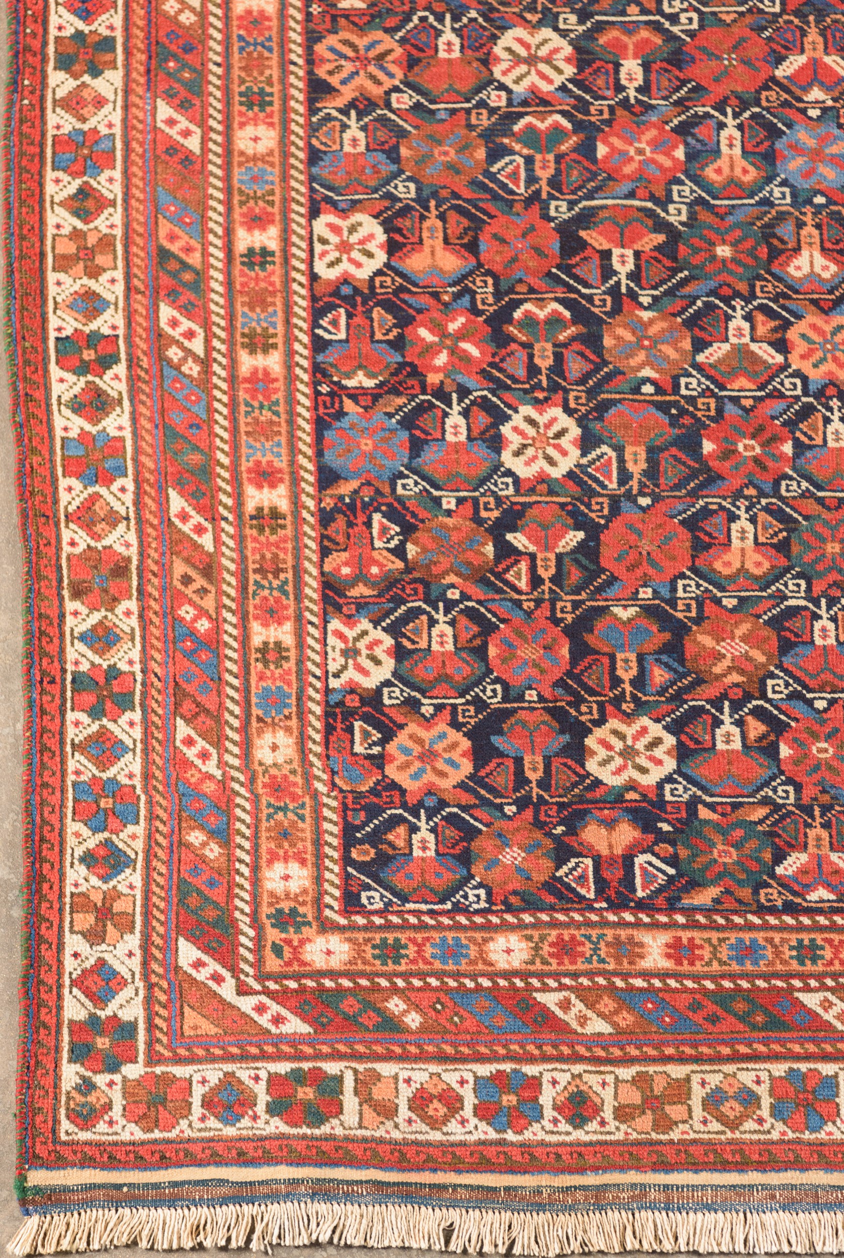 Tappeto Shirwan Surahani
