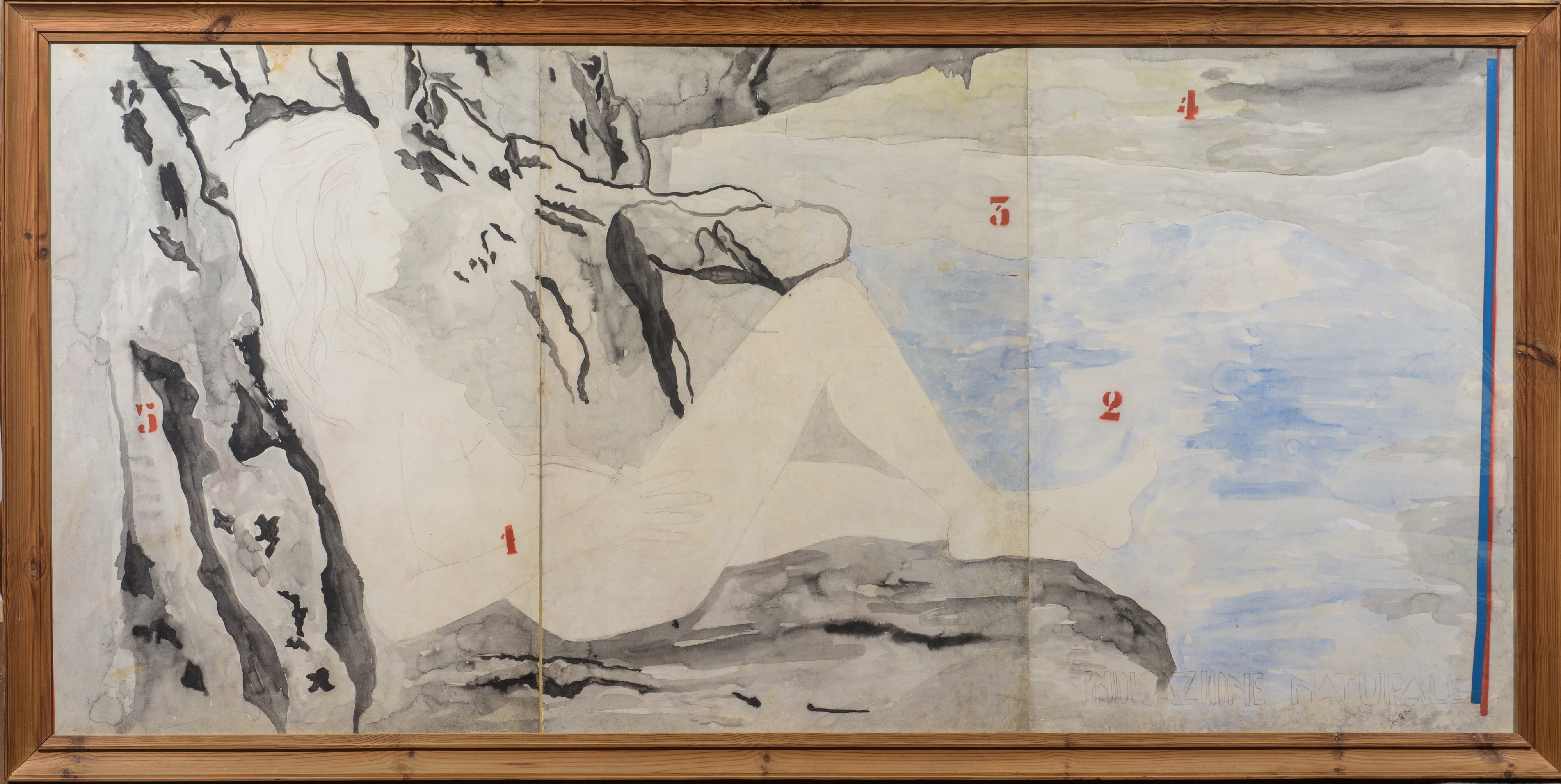 Indicazione naturale